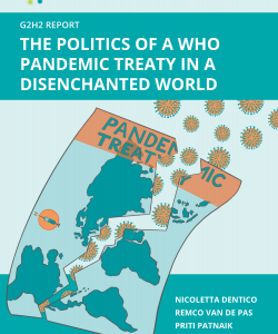 Cover of pandemic politics treaty